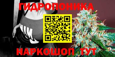 прущие крисы Краснокаменск