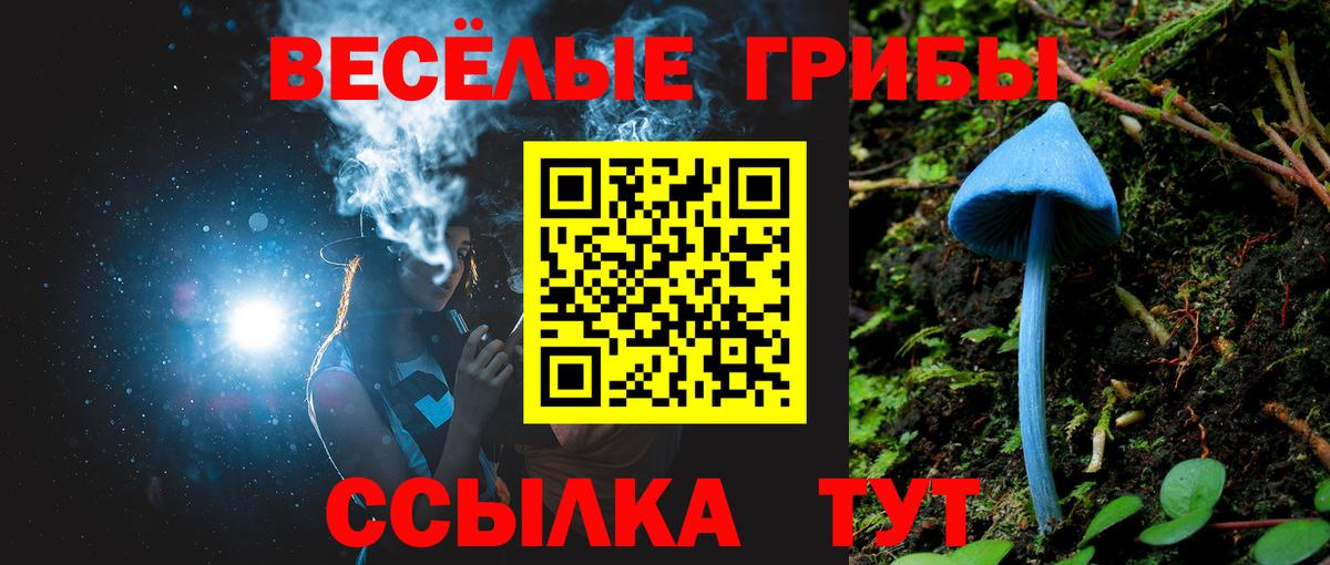 Галлюциногенные грибы мухоморы  Галлюциногенные грибы Psilocybine cubensis  Губкин  купить   Вход с VPN 